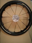 20151004_160055.jpg