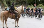 lombardia15-peloton-horse-1200.jpg