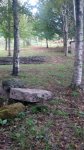 IMG_20151006_190457.jpg