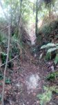 IMG_20151006_191115.jpg