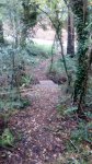 IMG_20151006_191154.jpg