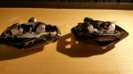 20151007_122938 (Medium).jpg