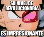 j90fur.jpg