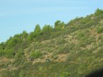 IMG_0796.JPG