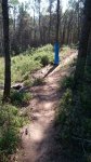 IMG-20151009-WA0006.jpg