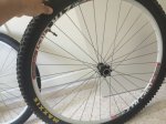 image10.jpeg