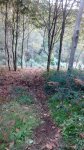 IMG_20151012_190211.jpg