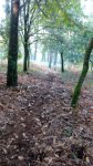 IMG_20151012_185141.jpg