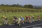 paris-tours-peloton-vines-1200.jpg