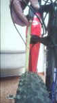 20151013_200607.jpg