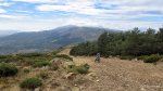 IMG_2349.JPG