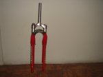 DSC02390 - copia.JPG