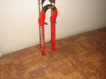 DSC02391 - copia.JPG