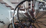 20151015_162445.jpg