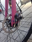 image7.jpeg