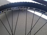 20151010_180520.jpg