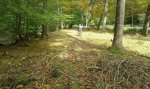 IMG-20151016-WA0008.jpg