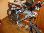DSC06540.JPG