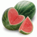 sandia.gif