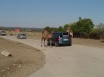 mini-DSC02623.JPG