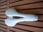 DSC04486.JPG