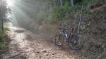 IMG_20151010_095921.jpg