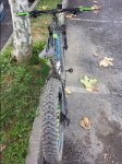 20151018_114407.jpg