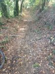 IMG-20151018-WA0004.jpg