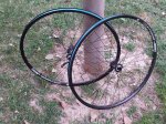 20151004_193231.jpg