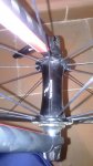 IMG-20151020-WA0010.jpg