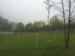IMG_1564.JPG
