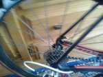 20150616_104820.jpg