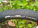 20151023_093424.jpg