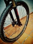 IMG_20151022_220349-01.jpeg