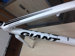 GIANT BLANCA 2.jpg