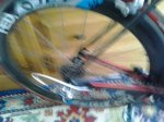 20150616_104831.jpg