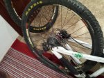 20151025_170714.jpg