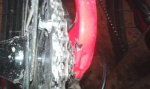 IMG-20151026-WA0002.jpeg