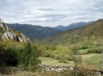 IMG_0233.JPG
