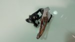 20151022_140934.jpg