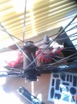IMG_20151028_123645.jpg