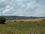DSCF0003.JPG