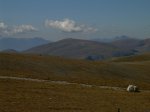 DSCN0106.JPG