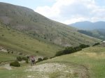 DSC00006.jpg