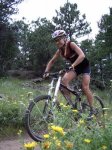 transalp2004%20001.jpg