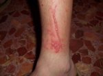 Imagen 013.jpg