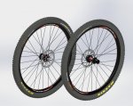 rodes amb pneumatics.JPG