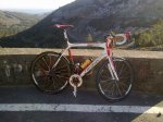 2011-11-18_12_10.jpeg