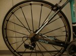 DSC03573.JPG