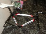 fotos pinarello 008.JPG